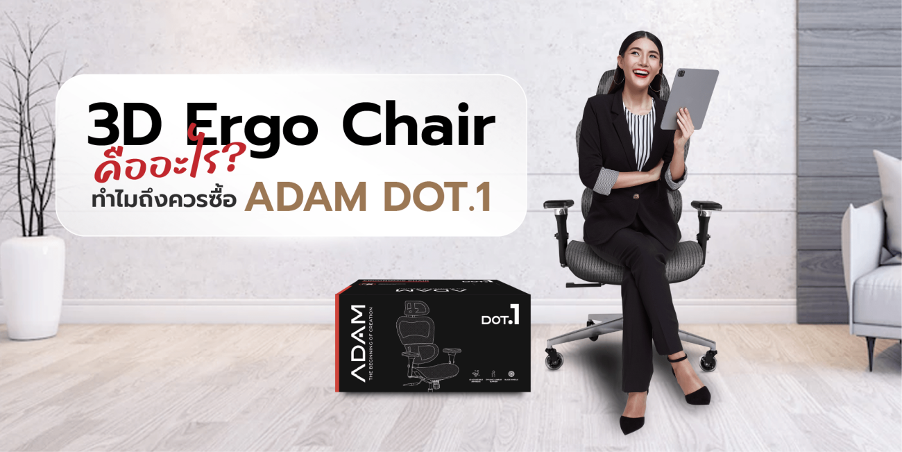 3D Ergo Chair คืออะไร